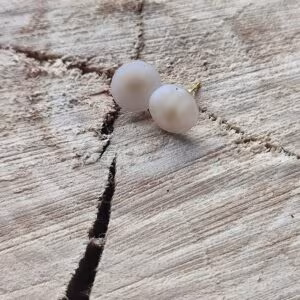 Puces blanc nacré