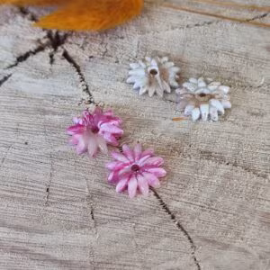 Pampilles Rosaline (Plusieurs modèles)